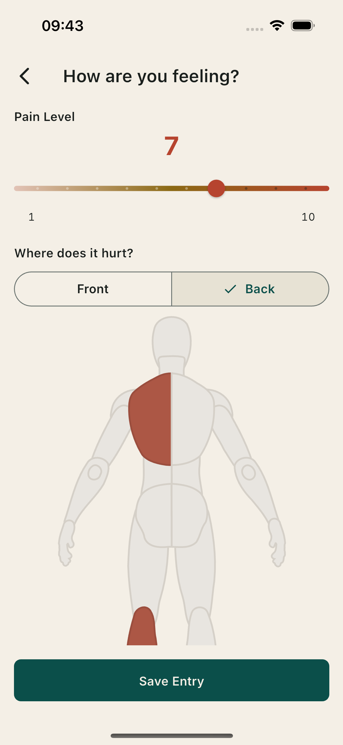 Pain Journal body map screen with several zones shaded to show where it hurts